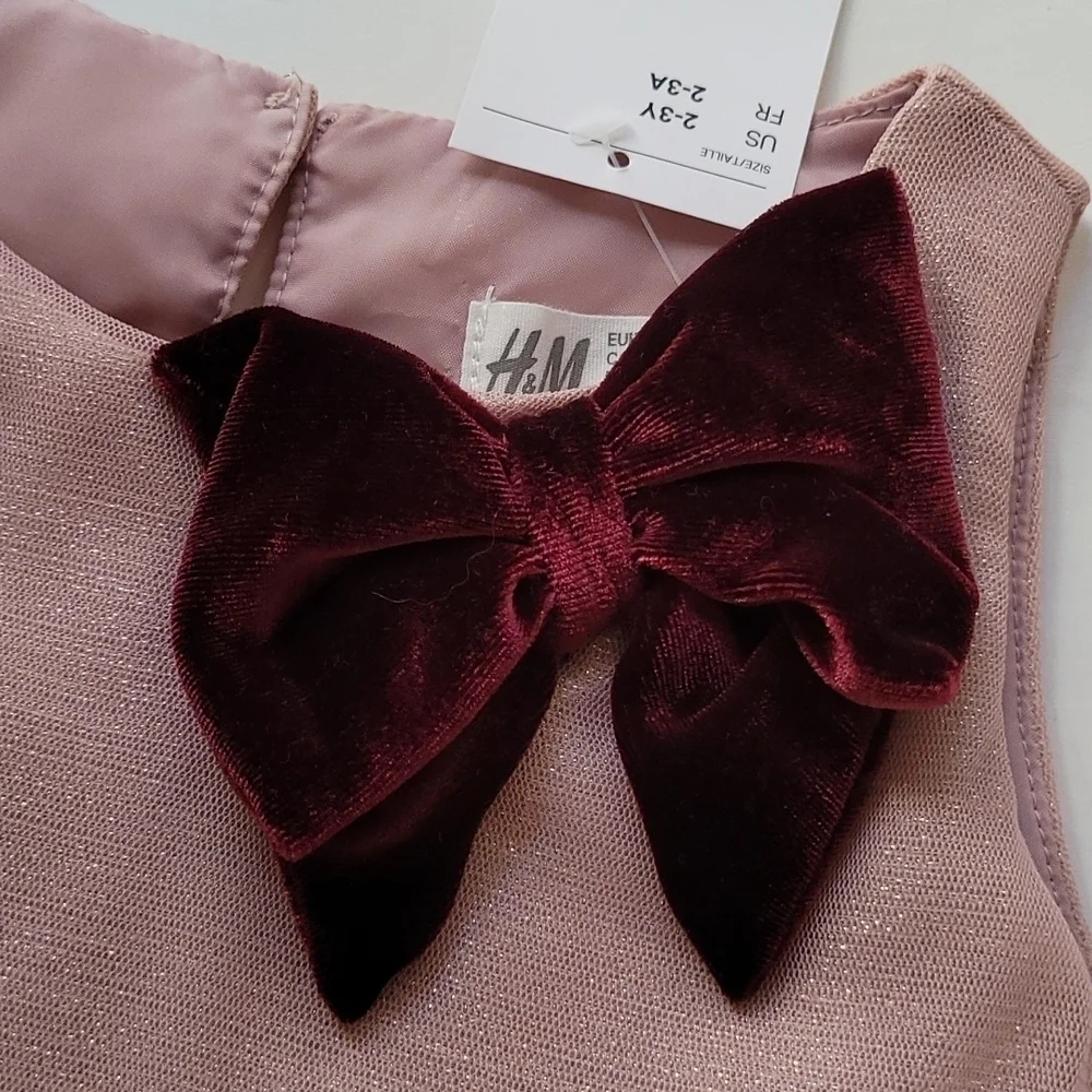 NWT Drop Waist Metallic Tulle Bow Dress Pink 2-3y